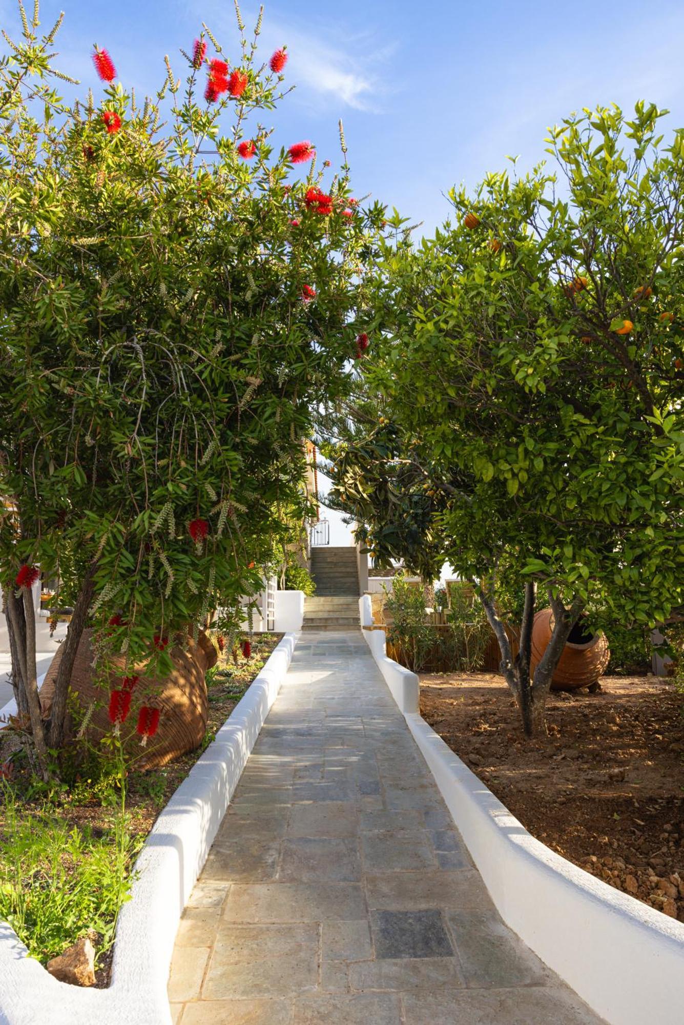 Chariclea Villa Klima (Samos) Exterior foto